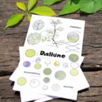 Community engagement