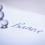 Consequences of political corruption