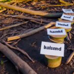 Global trade and market integration