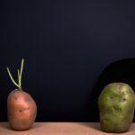 Identity development during different life stages