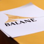 Importance of political organizations