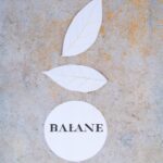 Lobbying for specific issues