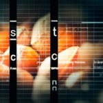 Relationship between sustainable development and economic growth