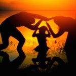 Co-parenting arrangements