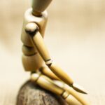 Social transformations