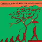 Case studies illustrating the relationship between income inequality and social mobility