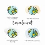 Examples and case studies