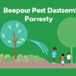 Insufficient scope and scale of interventions