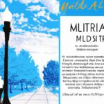 Impacts of inequality on society and economy