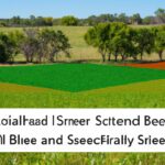 Strategies for adapting to climate change in agriculture.