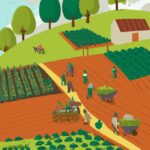 Strategies to address food insecurity