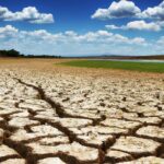 Water scarcity and its effect on food production