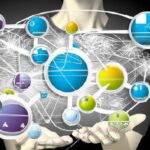 Role of stakeholders