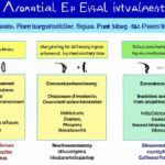 Types of criteria for evaluation