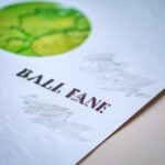 Creating an action plan