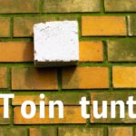 Solutions for sustainable population growth.