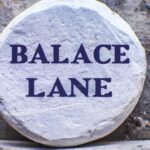 Strategies for Living with Purpose