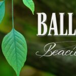 Strategies for continuous self-improvement