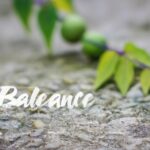 Techniques for effective lifelong learning