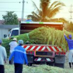 Causes of labor migration