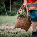 Criticisms of social safety nets