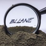 Data collection methods for Impact evaluation