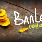 Definition of cultural integration