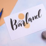 Future of social safety nets