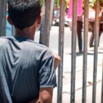 Government-provided social safety nets