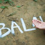 Impact of human activities on the environment