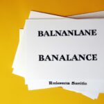Impact of tax havens on income inequality