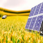 Importance of Environmental sustainability