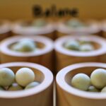 Key elements of successful social safety net programs