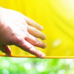 Role of government in social safety nets