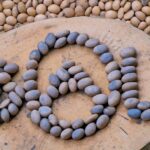 Environmental protection initiatives