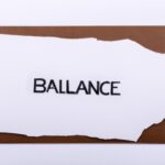 Impact of tax loopholes on government revenue