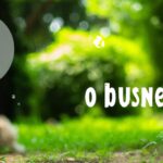 Inefficiency and unintended consequences