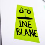 Political motivations and corruption